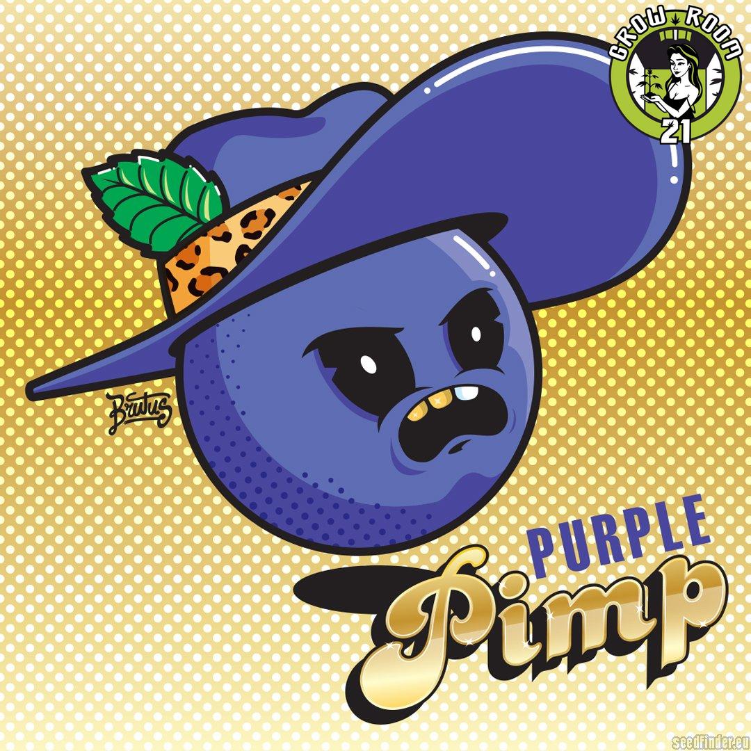 Bild von Purple Pimp