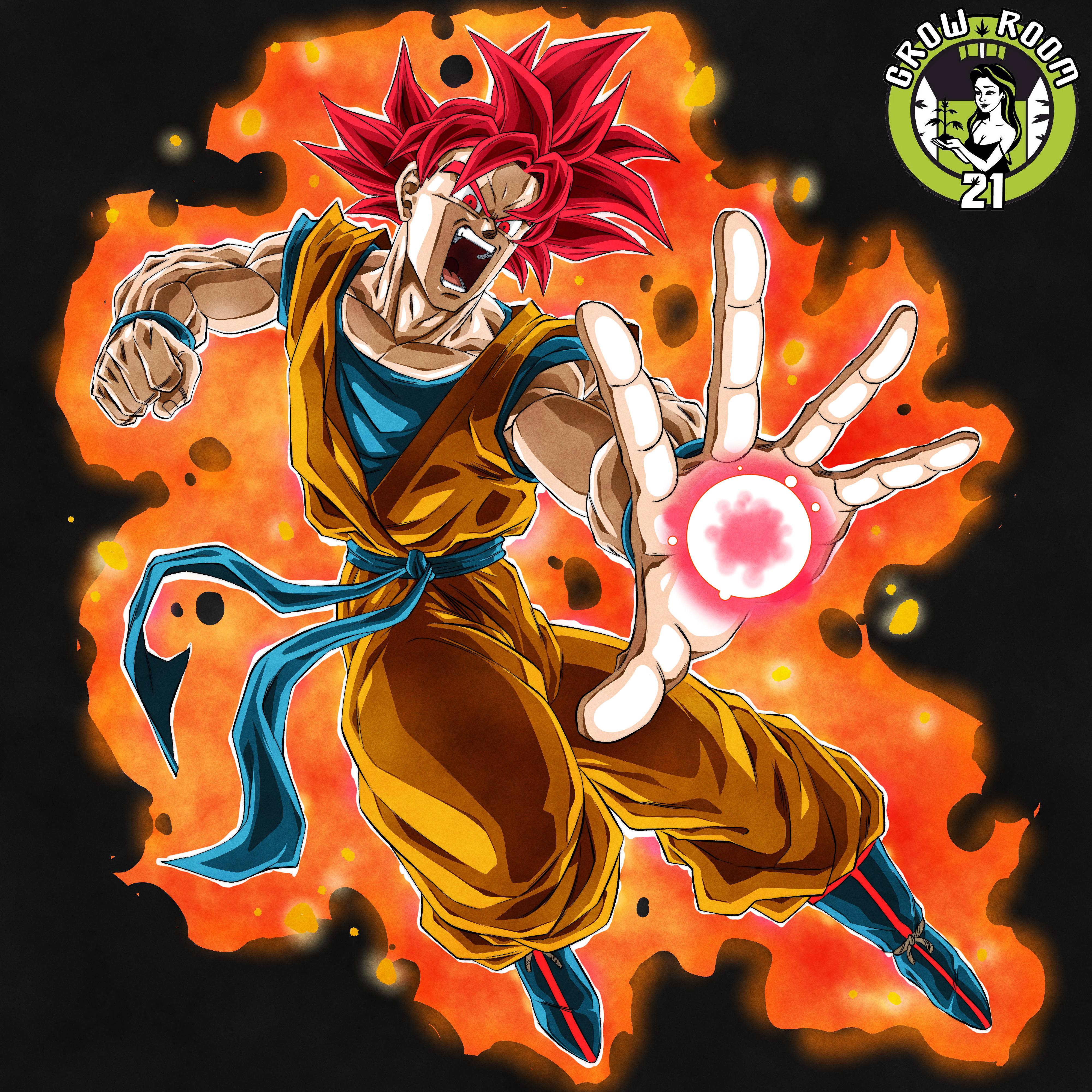 Bild von SSJ GOD