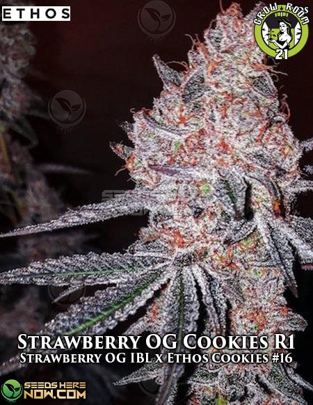 Bild von Strawberry OG Cookies