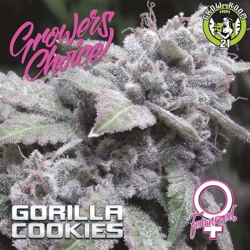 Bild von Gorilla Cookies