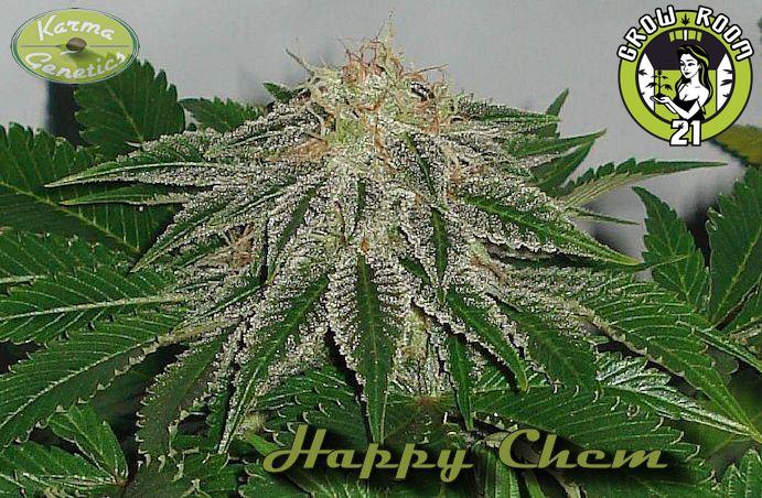 Bild von Happy Brother X Chemdog D IX1