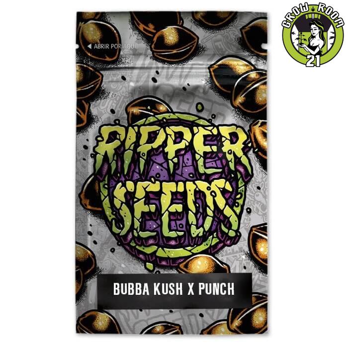 Bild von Bubba Kush x Purple Punch