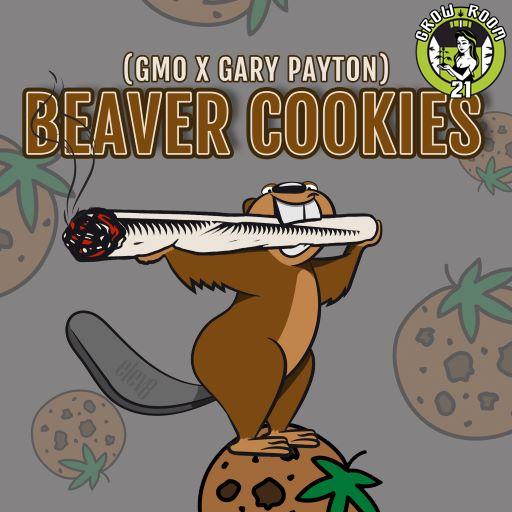 Bild von Beaver Cookies