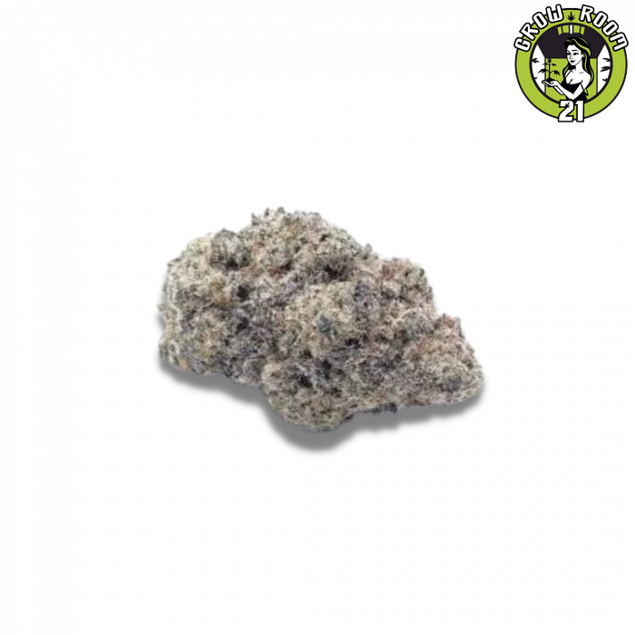 Bild von Cherry Zoap Autoflower