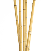 Plant poles Bamboo cane