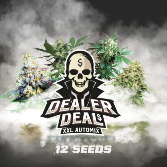 BSF Seeds - Auto Mix Dealer Deal XXL - feminised Click image to close