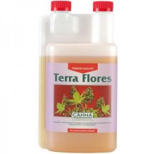 Canna Terra Flores