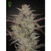 Green House Seeds Alienz - feminised