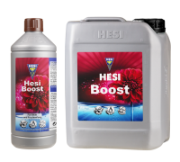 HESI Boost