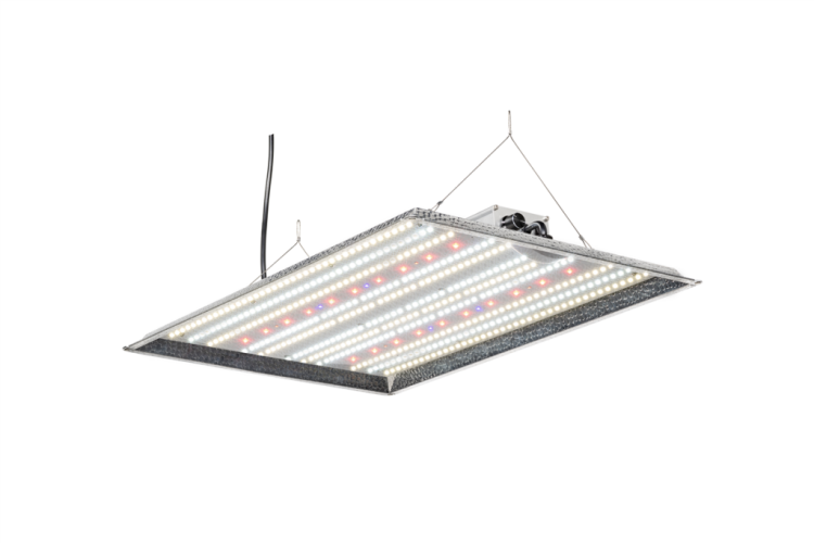 HortiMol 180Watt LED Modul