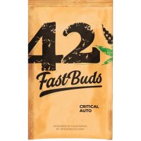 420 Fast Buds Critical Auto - feminised