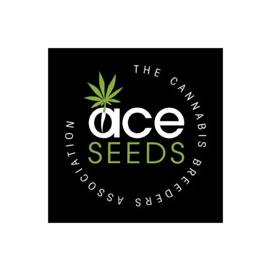 Ace Seeds Hashplant S1 - feminised