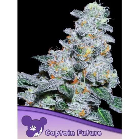 Anesia Seeds Captain Future - feminised