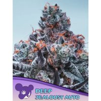 Anesia Seeds Deep Jealousy Auto - feminised