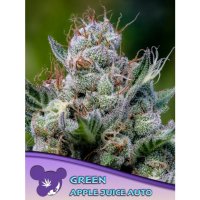 Anesia Seeds Green Apple Juice Auto - feminised