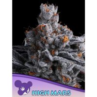 Anesia Seeds High Mars - feminised