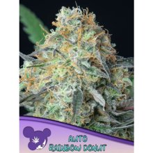 Anesia Seeds Rainbow Donut Auto - feminised