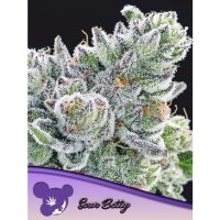 Anesia Seeds Sour Betty - feminised