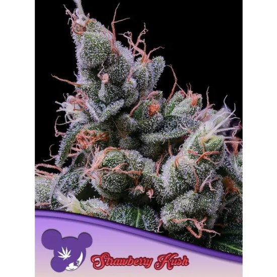 Anesia Seeds Strawberry Kush - feminised