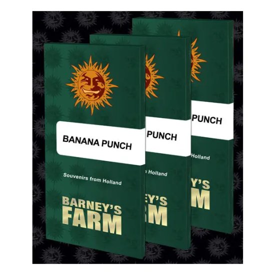 Barneys Farm Banana Punch - feminised