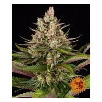 Barneys Farm Sour Strawberry - feminised