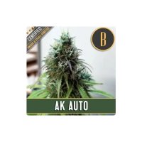 Blimburn Seeds AK Auto - feminised