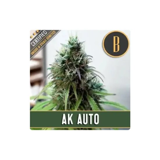 Blimburn Seeds AK Auto - feminised