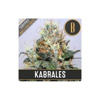 Blimburn Seeds Kabrales - feminised