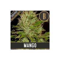 Blimburn Seeds Mango - feminised