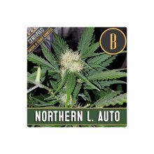 Blimburn Seeds Northern Auto - feminised