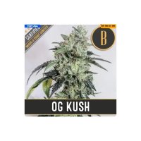 Blimburn Seeds OG's Kush - feminised