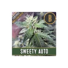 Blimburn Seeds Sweety Auto - feminised