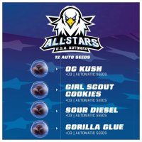 Bsf Seeds All Stars USA Automix - feminised