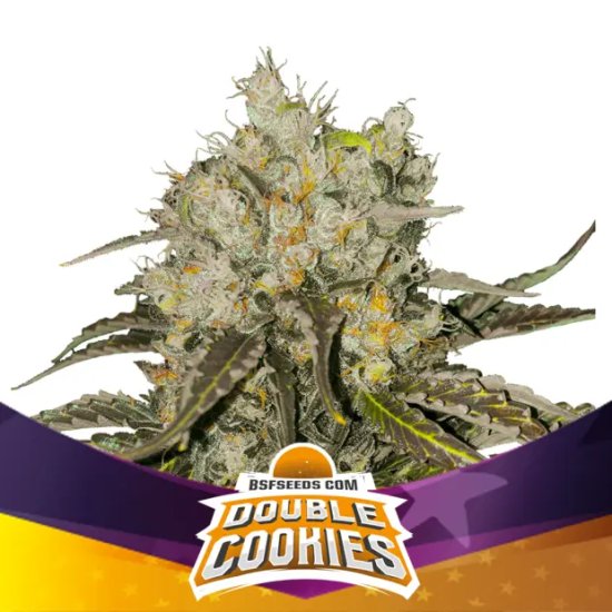 Bsf Seeds Double Cookies - feminised