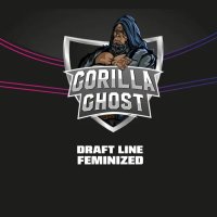 Bsf Seeds Gorilla Ghost - Draft Line - feminised