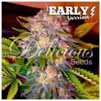 Delicious Seeds Caramelo Early Version - feminised