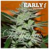 Delicious Seeds Unknown Kush Early Version - feminised