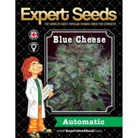 Expert Seeds Blue Cheese Auto - feminised