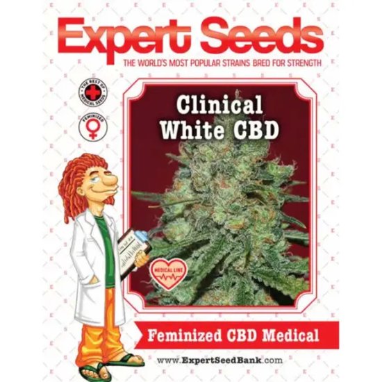 Expert Seeds Clinical White CBD - feminised