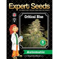 Expert Seeds Critical Blue Auto - feminised