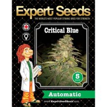 Expert Seeds Critical Blue Auto - feminised