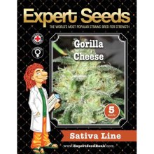 Expert Seeds Gorilla Cheese - feminised