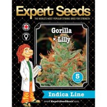 Expert Seeds Gorilla Glue # 4 X Lilly - feminised