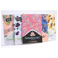 Female Seeds Indoor Mix - feminised