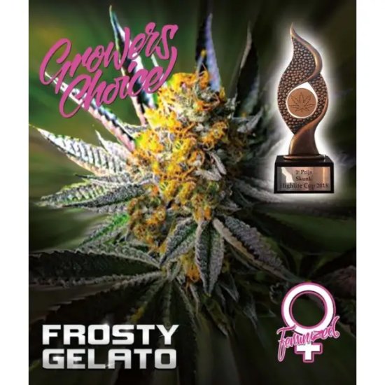 Growers Choice Frosty Gelato - feminised