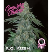 Growers Choice KO Kush - feminised