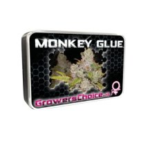 Growers Choice Monkey Glue - feminised