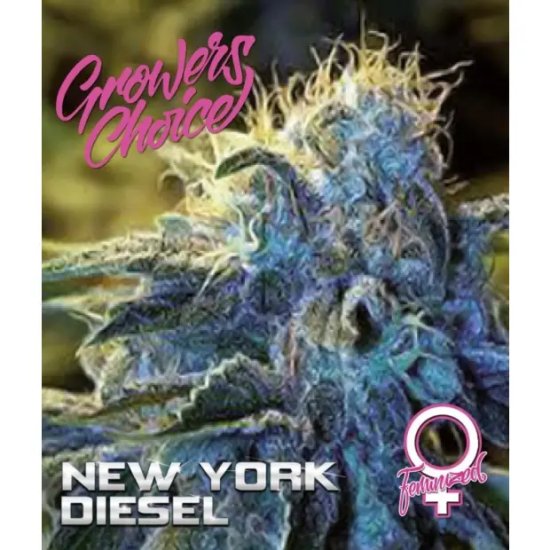 Growers Choice New York Diesel - feminised