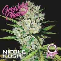 Growers Choice Nicole Kush - feminised