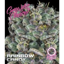 Growers Choice Rainbow Candy Auto - feminised